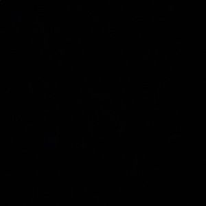 Meet your Posher, Cody